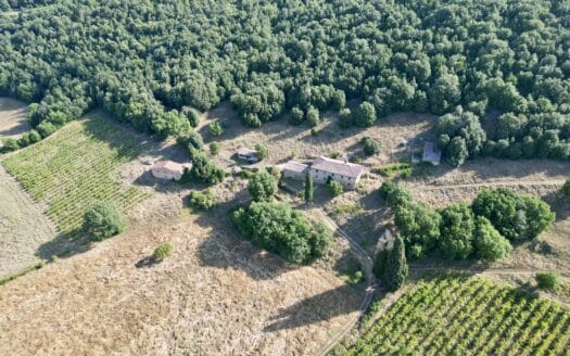 Casolare da ristrutturare a Casole d`Elsa